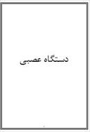 تحقیق دستگاه عصبی انسان